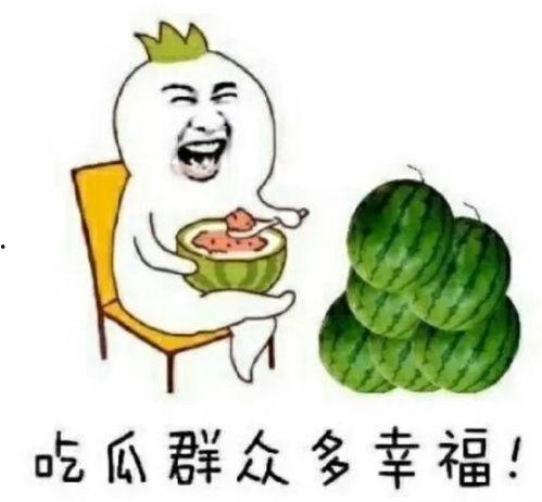 娱乐吃瓜酱什么系