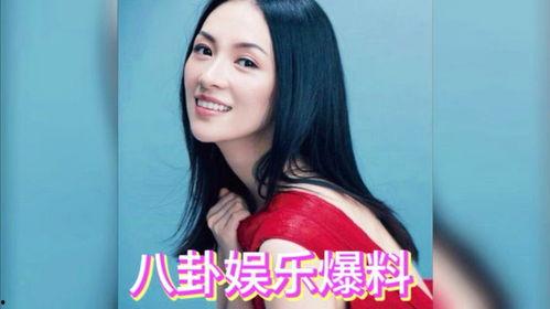 娱乐圈八卦吃瓜爆料文件,揭秘明星幕后真相，吃瓜群众必看！
