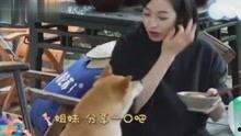 吃瓜娱乐八卦网红视频,揭秘吃瓜娱乐视频背后的秘密