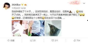 娱乐吃瓜酱最心酸,揭秘娱乐圈最心酸幕后故事