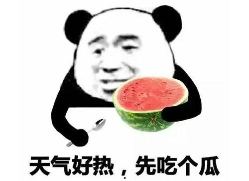 吃瓜表情包图片搞笑,吃瓜表情包里的欢乐盛宴