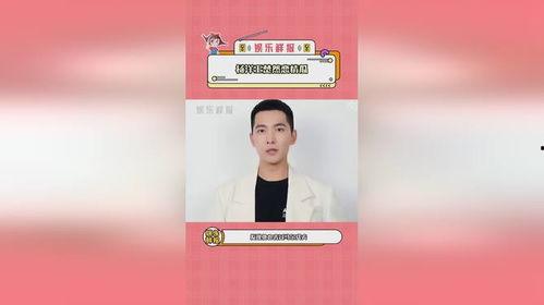 娱乐评论大赏吃瓜群众,吃瓜群众热议焦点大盘点